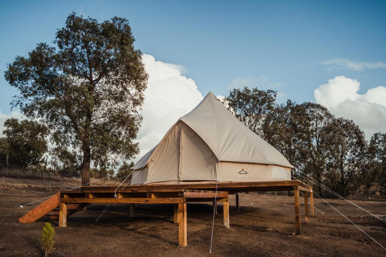 Lago Valle Wine Glamping Valle de Guadalupe Esterno foto