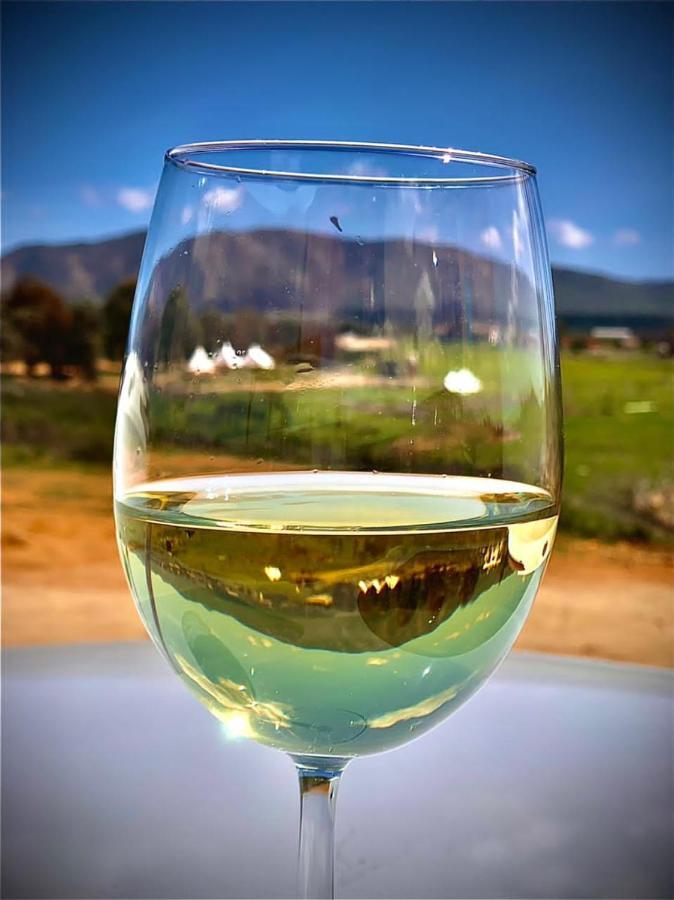Lago Valle Wine Glamping Valle de Guadalupe Esterno foto