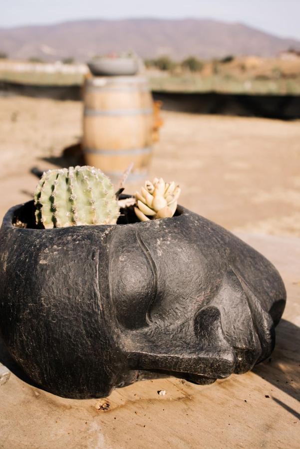Lago Valle Wine Glamping Valle de Guadalupe Esterno foto