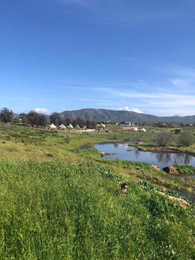 Lago Valle Wine Glamping Valle de Guadalupe Esterno foto