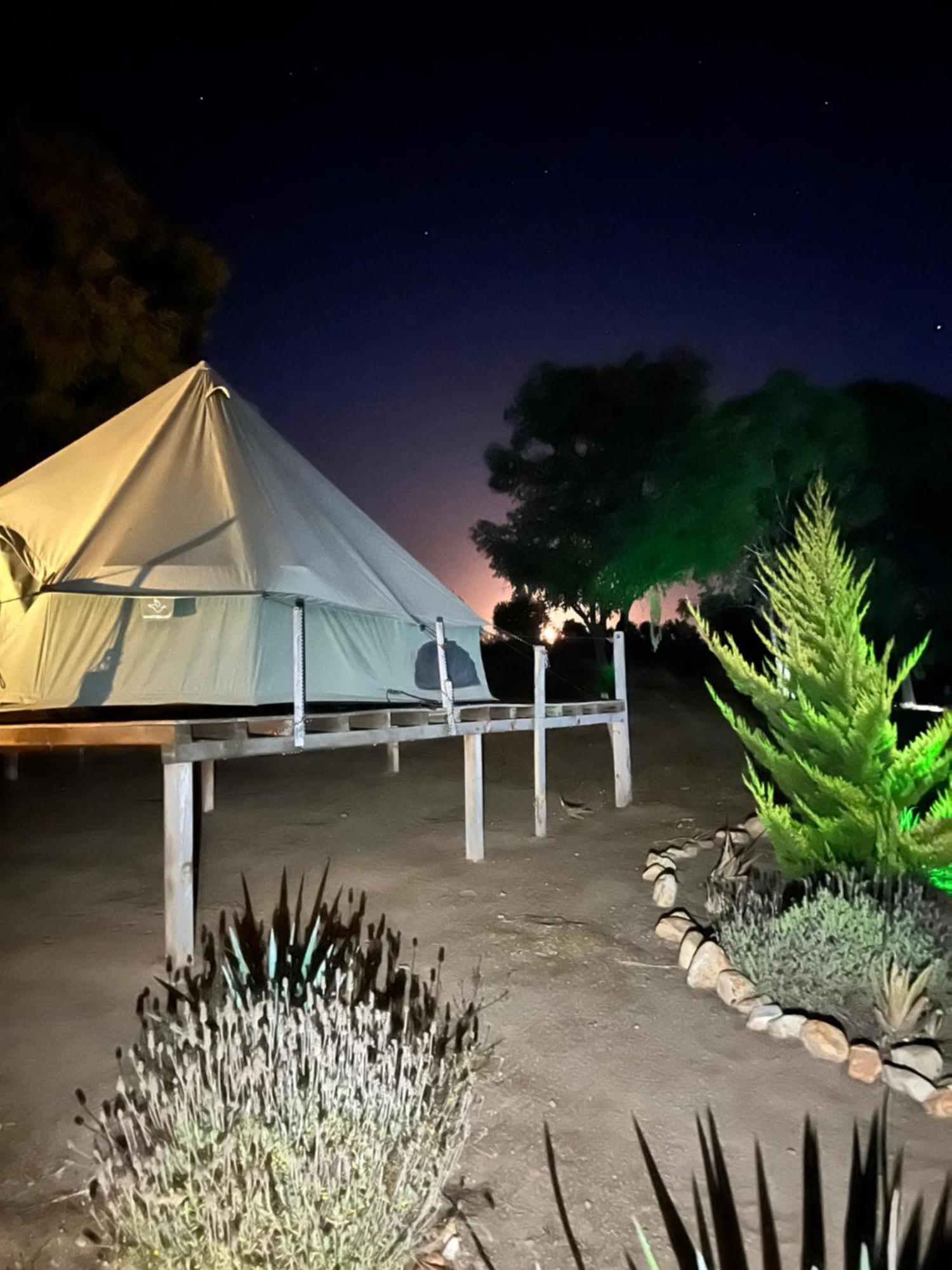Lago Valle Wine Glamping Valle de Guadalupe Esterno foto