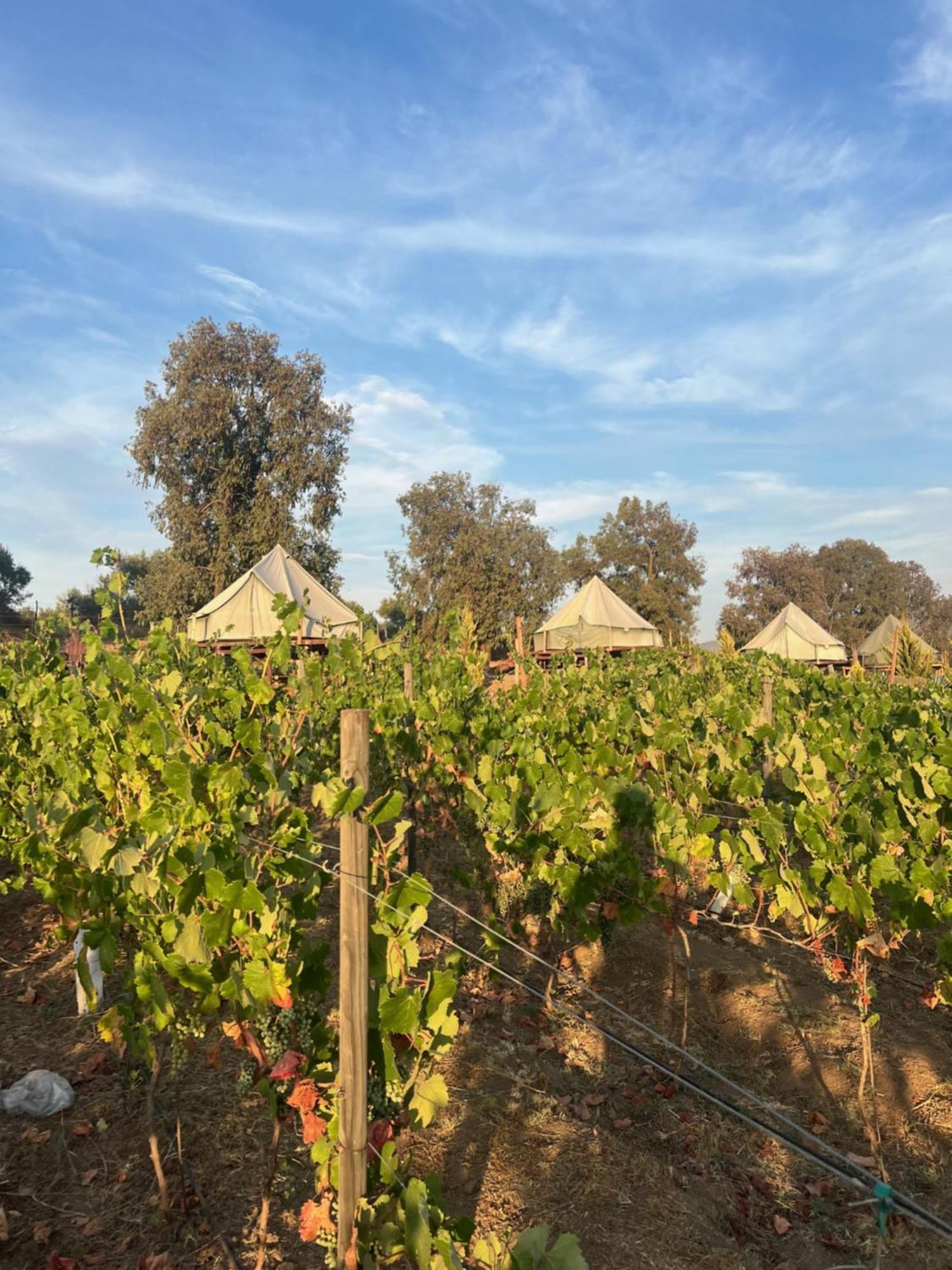 Lago Valle Wine Glamping Valle de Guadalupe Esterno foto